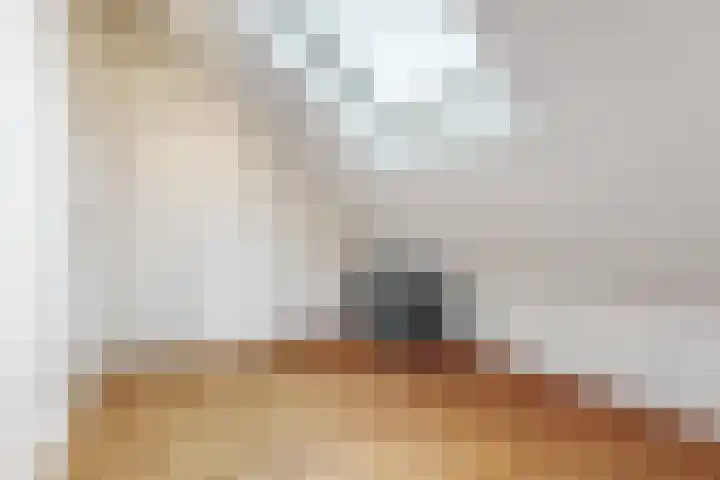Benesserlaan 169 Uitgeest thumbnail 32