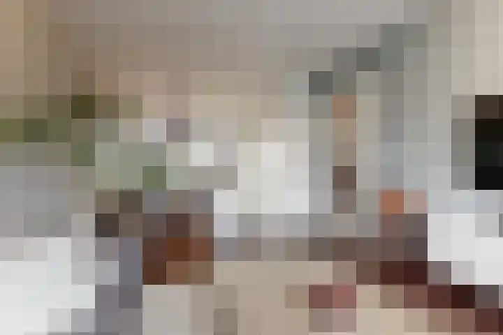 Benesserlaan 169 Uitgeest thumbnail 4