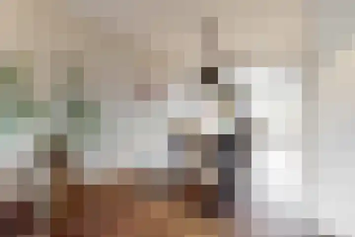 Benesserlaan 169 Uitgeest thumbnail 7