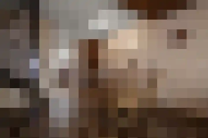 Benesserlaan 292 Uitgeest thumbnail 10