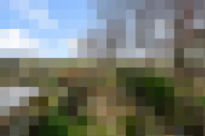 Benesserlaan 292 Uitgeest thumbnail 18