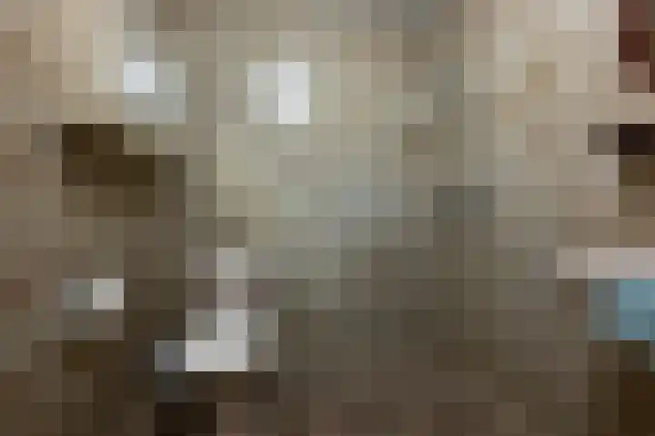 Benesserlaan 292 Uitgeest thumbnail 19