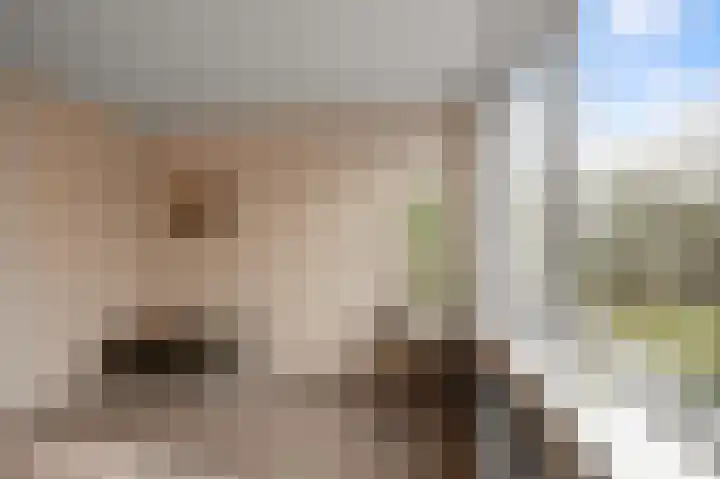 Benesserlaan 292 Uitgeest thumbnail 22