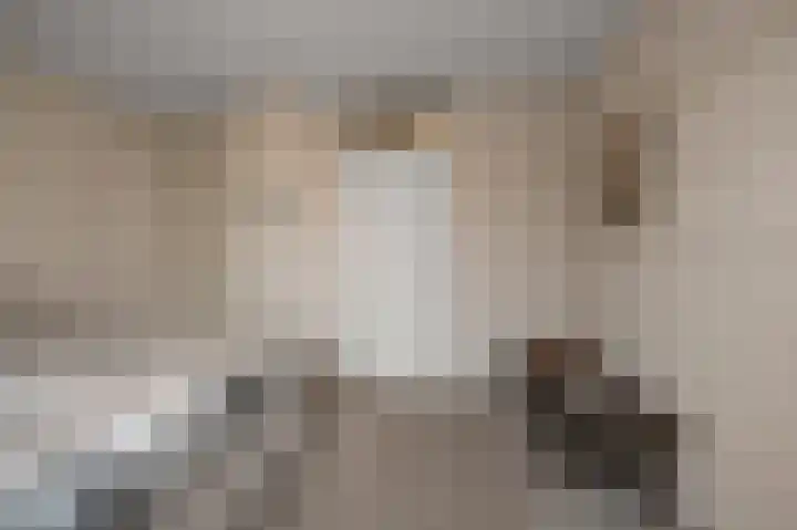 Benesserlaan 292 Uitgeest thumbnail 23