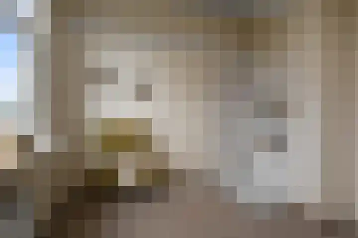Benesserlaan 292 Uitgeest thumbnail 26