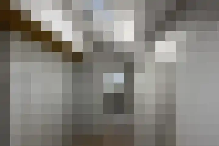 Benesserlaan 292 Uitgeest thumbnail 28