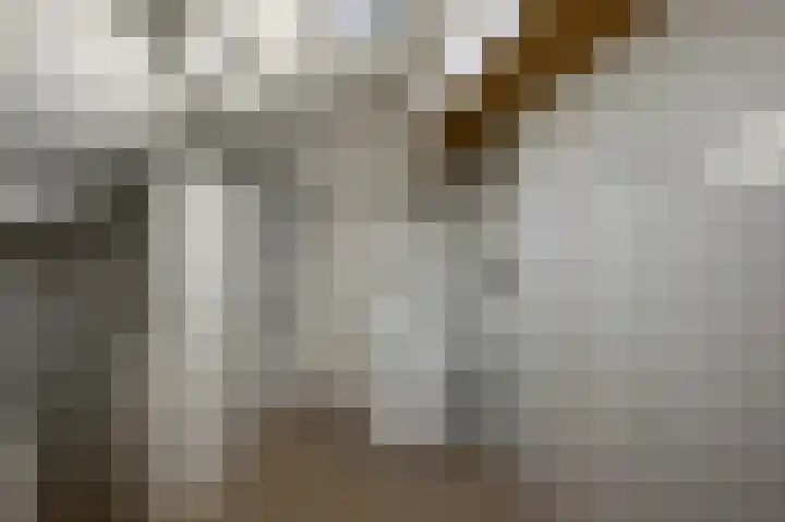 Benesserlaan 292 Uitgeest thumbnail 29