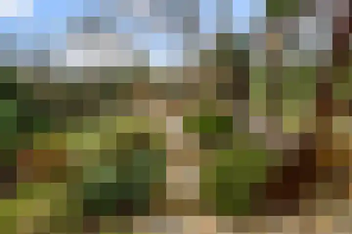 Benesserlaan 292 Uitgeest thumbnail 33