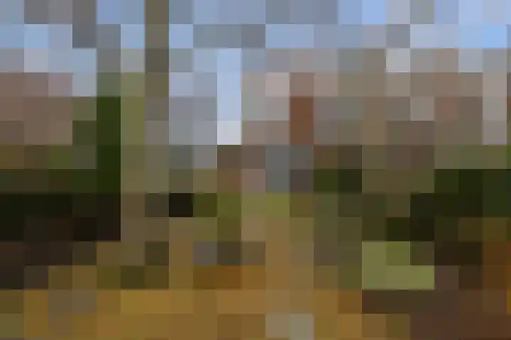 Benesserlaan 292 Uitgeest thumbnail 34