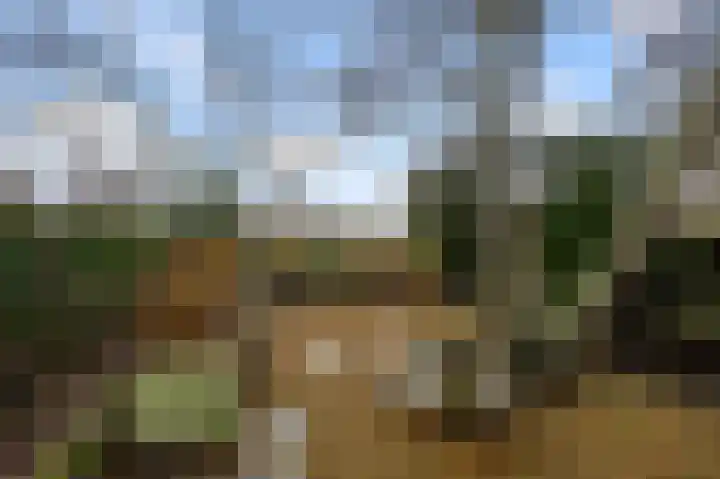 Benesserlaan 292 Uitgeest thumbnail 35
