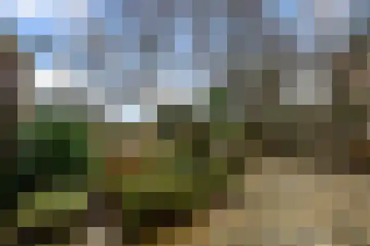 Benesserlaan 292 Uitgeest thumbnail 36