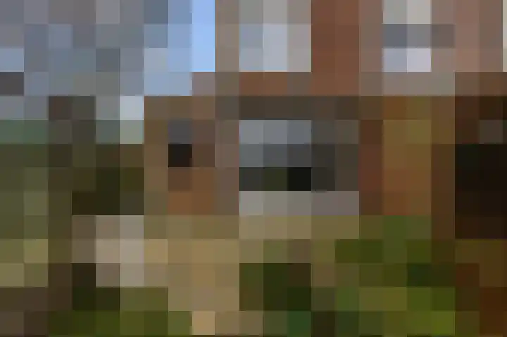 Benesserlaan 292 Uitgeest thumbnail 37