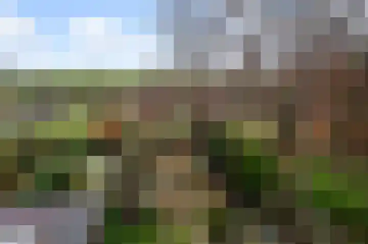 Benesserlaan 292 Uitgeest thumbnail 4