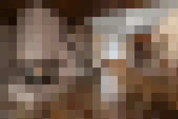 Benesserlaan 292 Uitgeest thumbnail 6