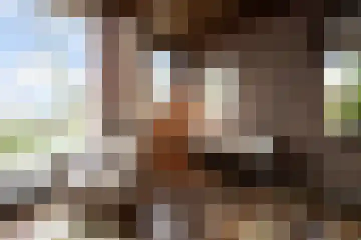 Benesserlaan 292 Uitgeest thumbnail 7