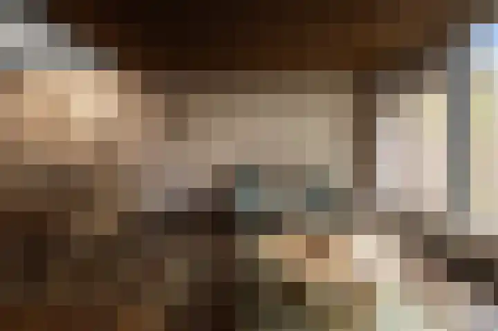 Benesserlaan 292 Uitgeest thumbnail 9