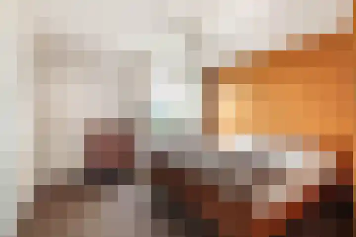 Benesserlaan 302 Uitgeest thumbnail 13