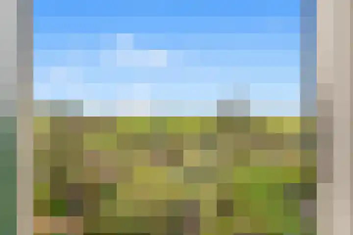 Benesserlaan 302 Uitgeest thumbnail 14