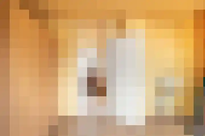 Benesserlaan 302 Uitgeest thumbnail 17