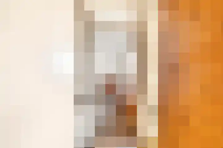 Benesserlaan 302 Uitgeest thumbnail 18