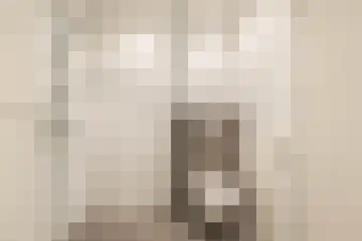 Benesserlaan 302 Uitgeest thumbnail 20