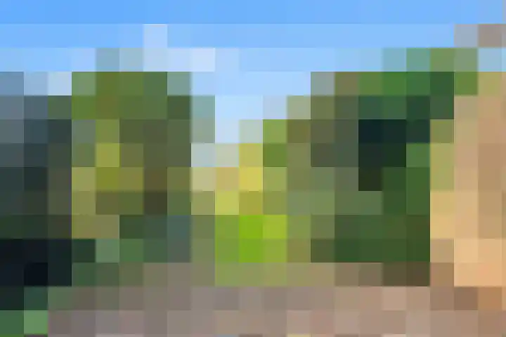 Benesserlaan 302 Uitgeest thumbnail 27