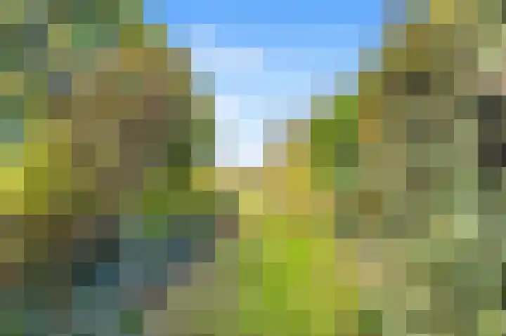 Benesserlaan 302 Uitgeest thumbnail 28