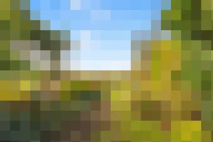 Benesserlaan 302 Uitgeest thumbnail 29
