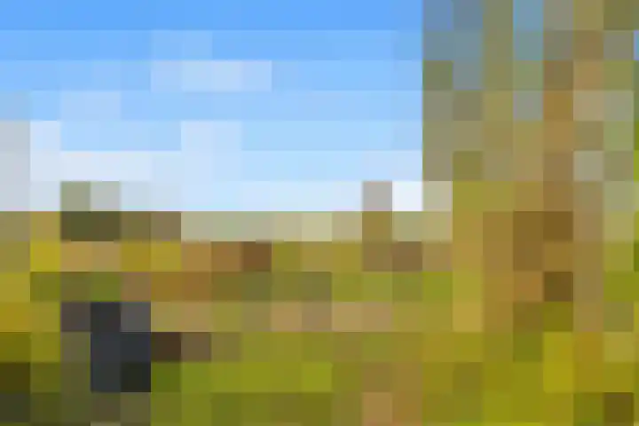 Benesserlaan 302 Uitgeest thumbnail 30