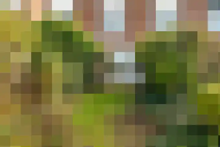 Benesserlaan 302 Uitgeest thumbnail 31