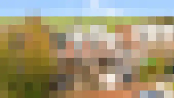 Benesserlaan 302 Uitgeest thumbnail 34