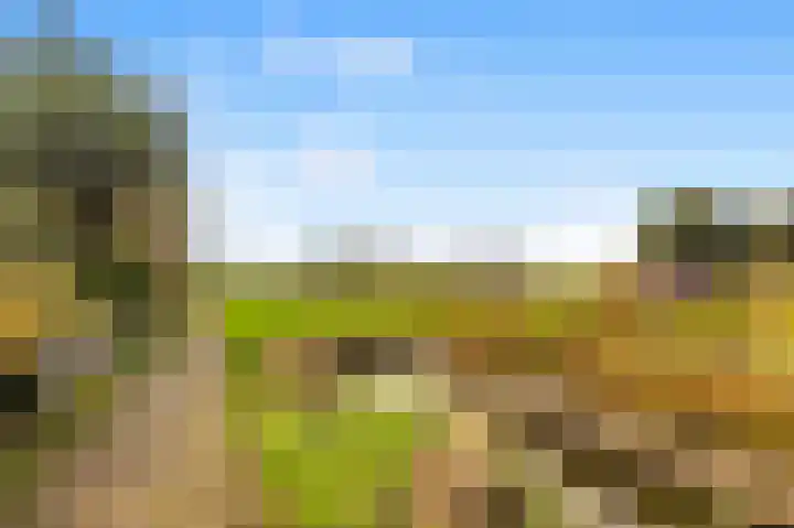 Benesserlaan 302 Uitgeest thumbnail 36