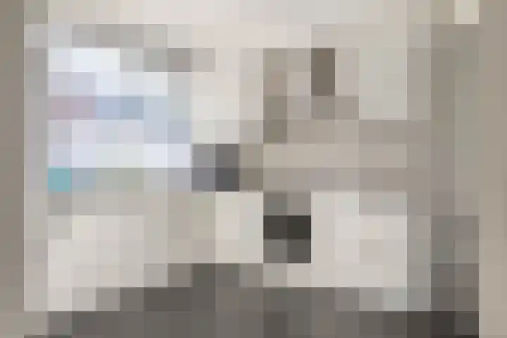 Benesserlaan 302 Uitgeest thumbnail 5