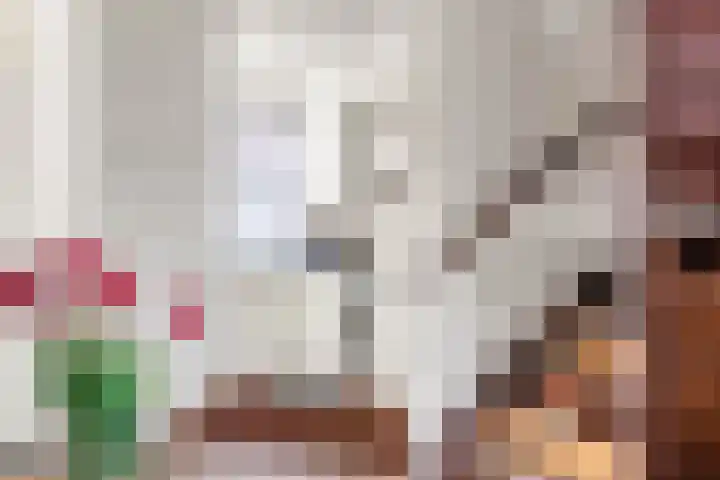 Benesserlaan 302 Uitgeest thumbnail 6