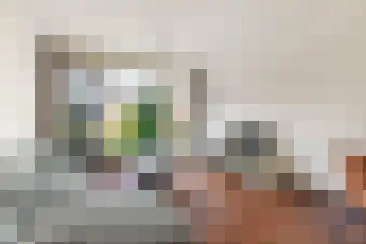 Benesserlaan 302 Uitgeest thumbnail 8