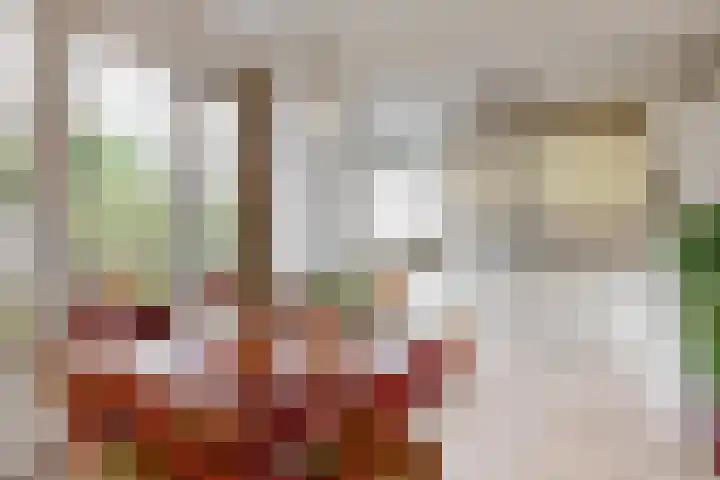 Benesserlaan 322 Uitgeest thumbnail 13