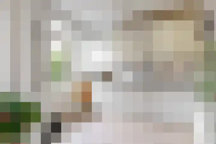 Benesserlaan 322 Uitgeest thumbnail 14
