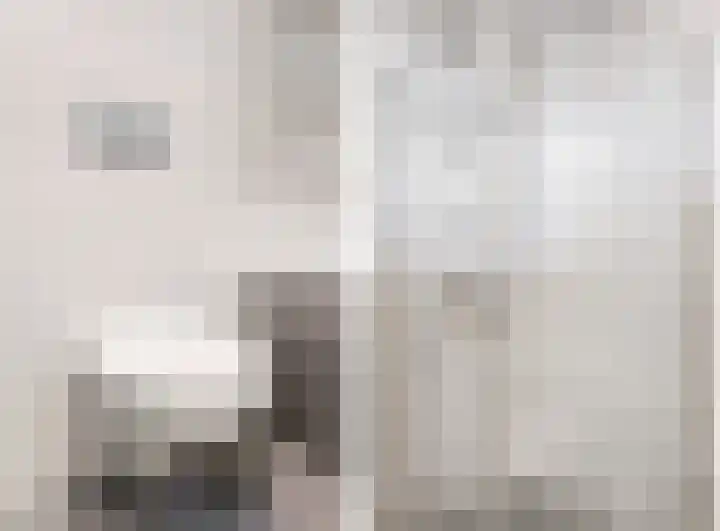 Benesserlaan 322 Uitgeest thumbnail 29
