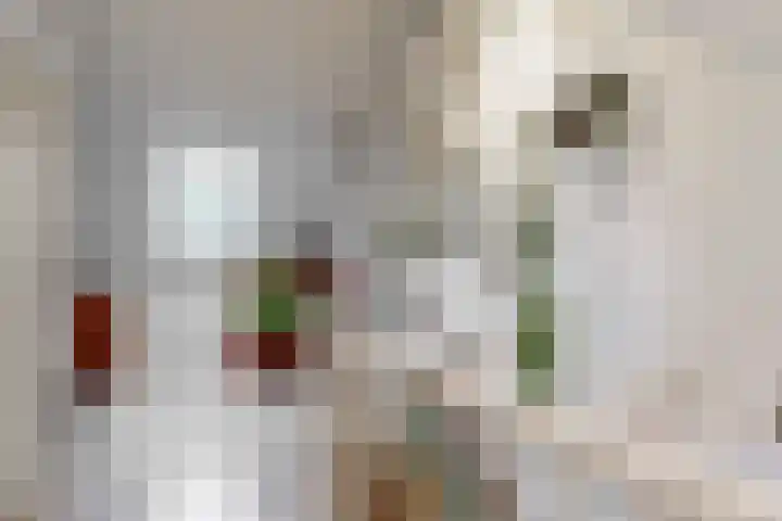 Benesserlaan 322 Uitgeest thumbnail 31