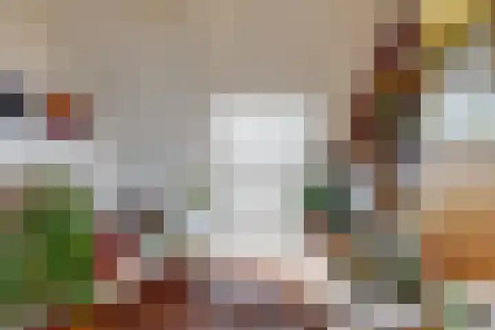Benesserlaan 322 Uitgeest thumbnail 33