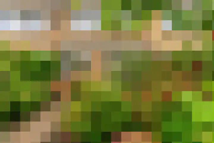 Benesserlaan 322 Uitgeest thumbnail 35