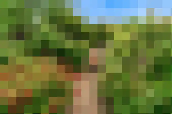Benesserlaan 322 Uitgeest thumbnail 38