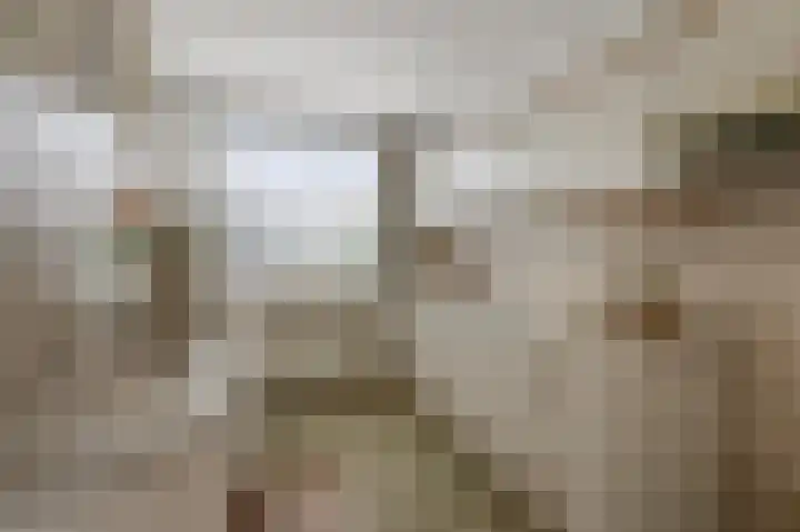 Benesserlaan 352 Uitgeest thumbnail 10