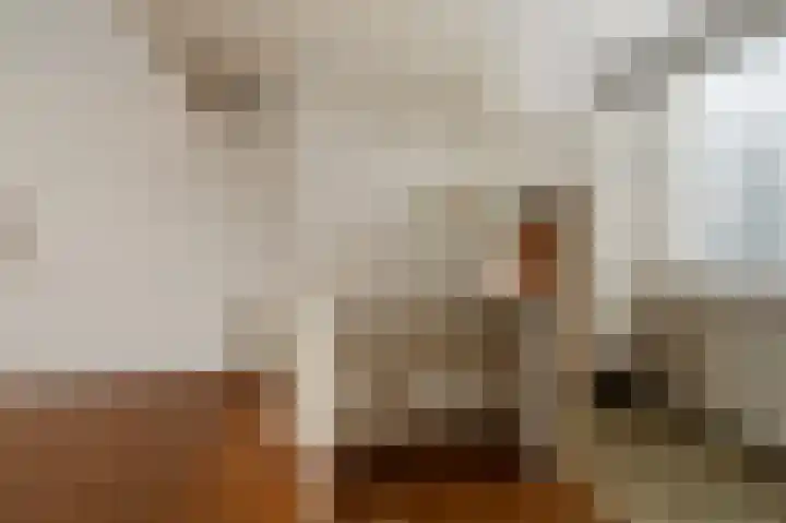 Benesserlaan 352 Uitgeest thumbnail 11