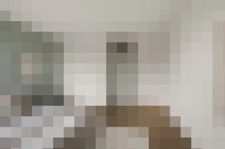 Benesserlaan 352 Uitgeest thumbnail 15