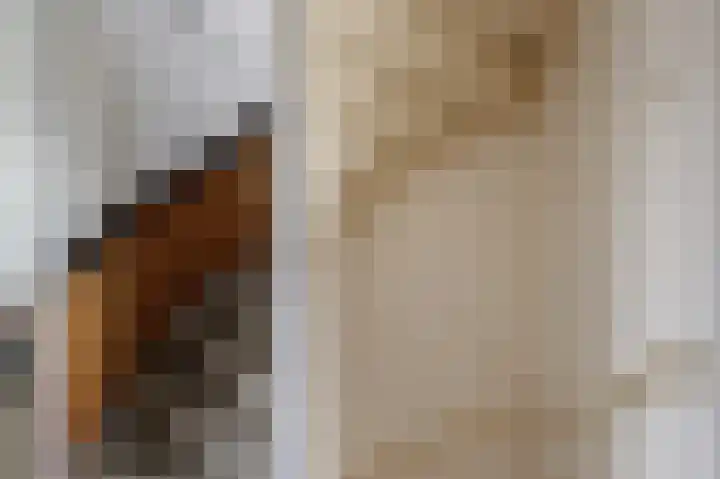 Benesserlaan 352 Uitgeest thumbnail 21