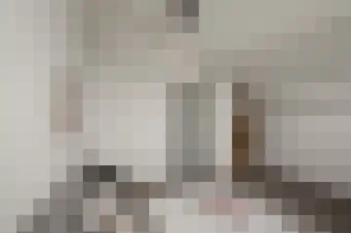Benesserlaan 352 Uitgeest thumbnail 28