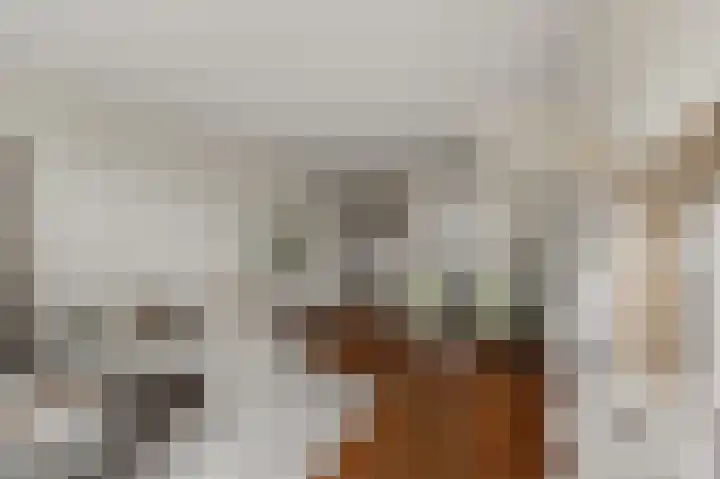Benesserlaan 352 Uitgeest thumbnail 7