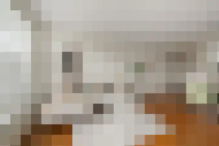 Benesserlaan 352 Uitgeest thumbnail 8