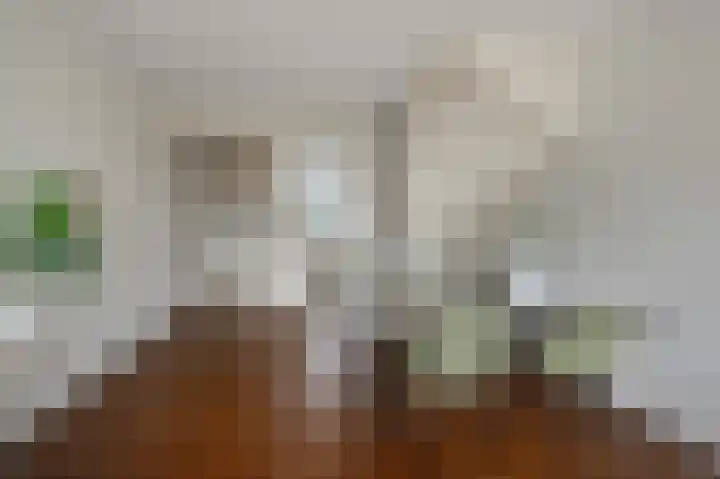 Benesserlaan 352 Uitgeest thumbnail 9